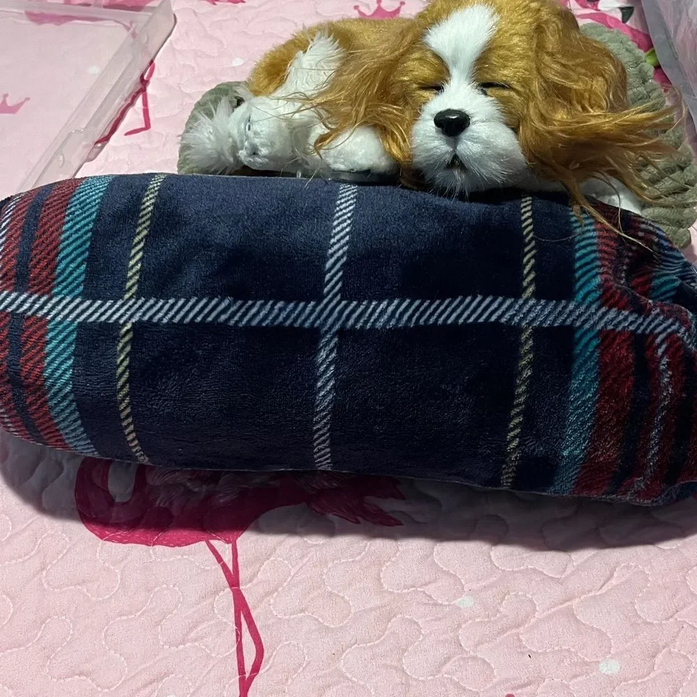 Vera Bradley Tartan Plaid 45 x 45 Fleece Blanket w pouch Pets,Baby or travel